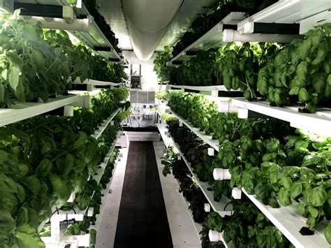Indoor farming. Things To Know About Indoor farming. 